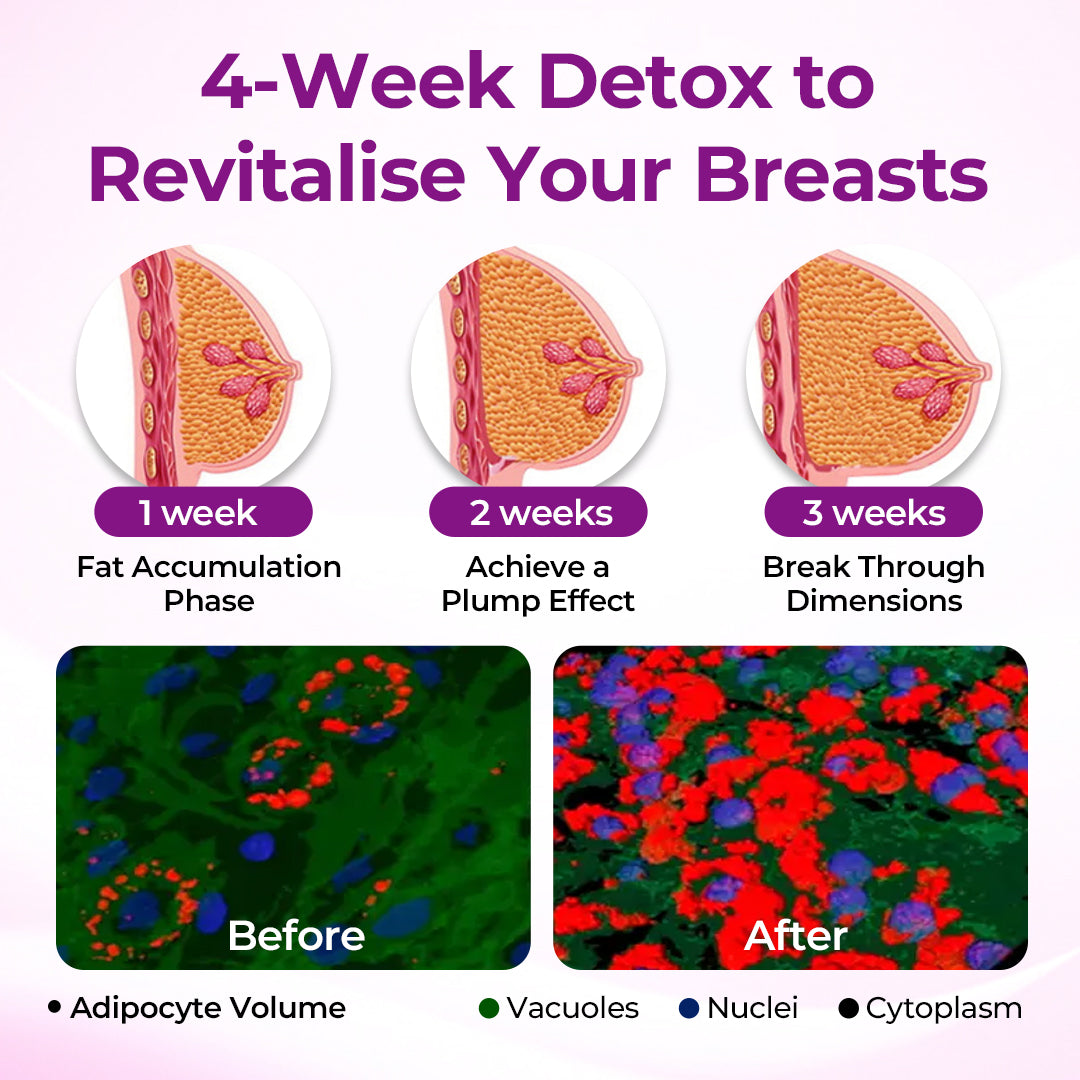 Healrize® MaxCurve Sculpting & Volumizing Bust Oil